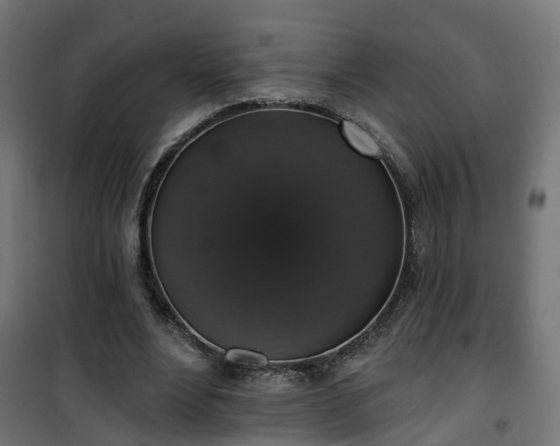 X0000101400488200807141200