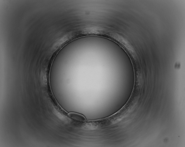 X0000101400489200807141200