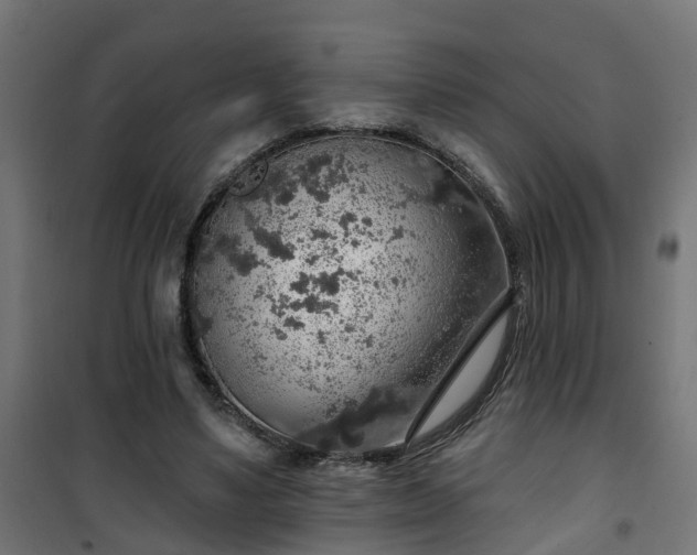 X0000101400491200807141200