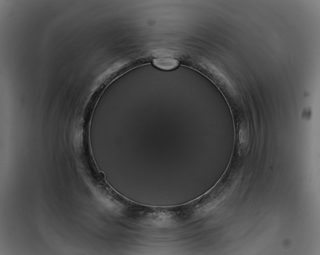 X0000101400492200807141200