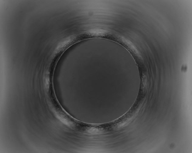 X0000101400494200807141200