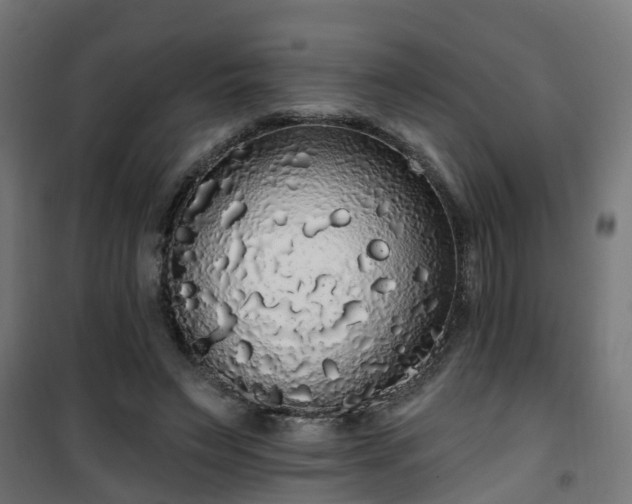 X0000101400495200807141200