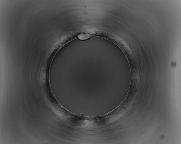 X0000101400496200807141200