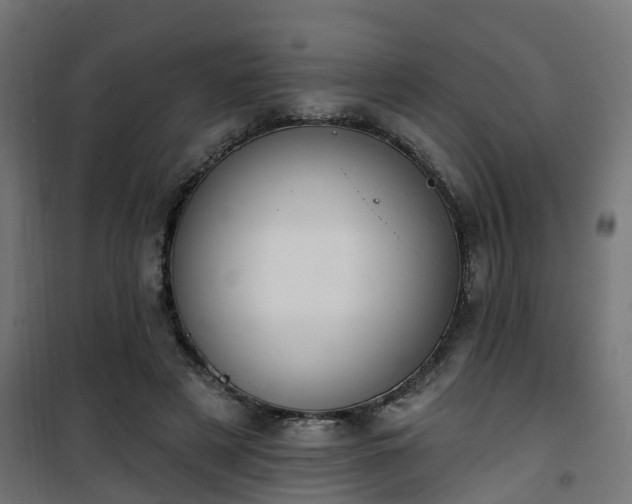 X0000101400497200807141200