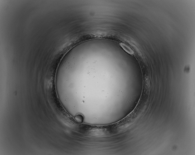 X0000101400499200807141200