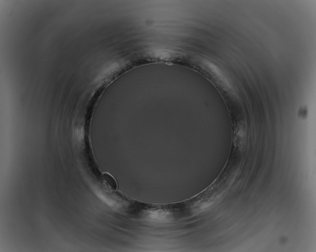 X0000101400500200807141200