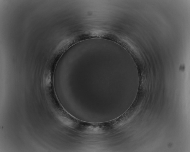 X0000101400502200807141200