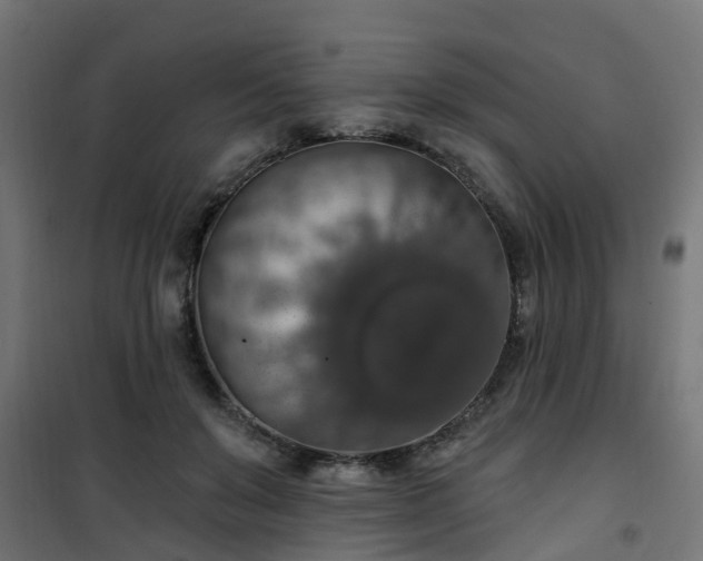 X0000101400503200807141200