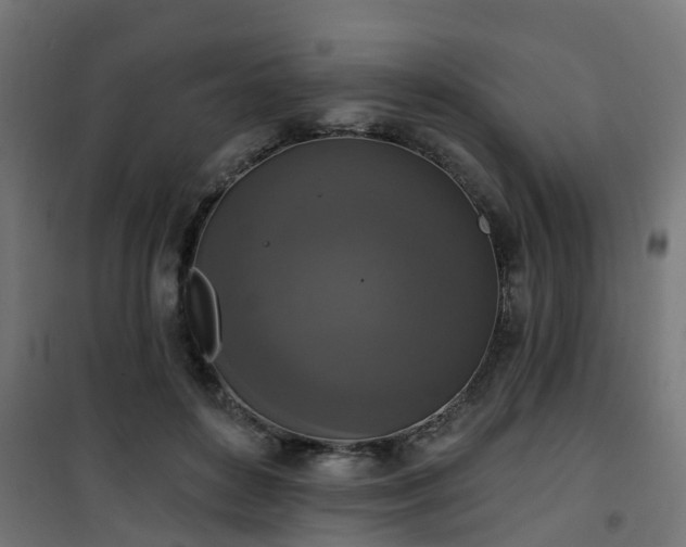 X0000101400504200807141200