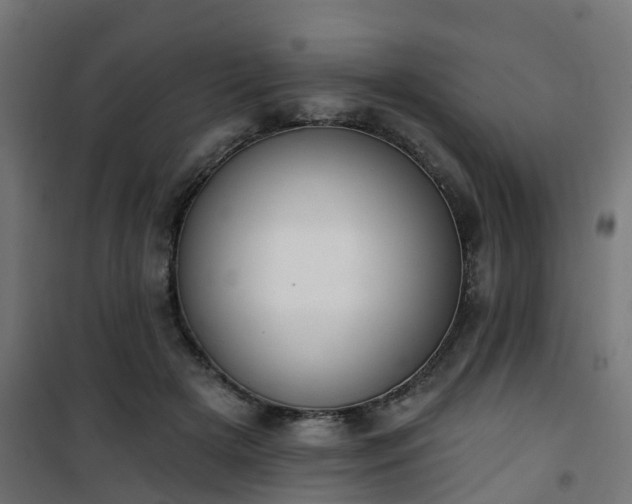 X0000101400505200807141200