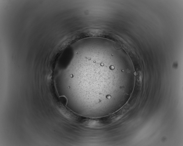 X0000101400507200807141200