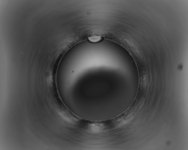 X0000101400508200807141200