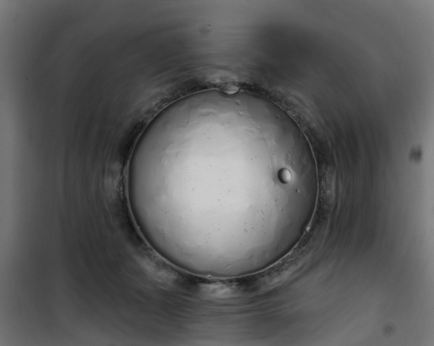 X0000101400511200807141200