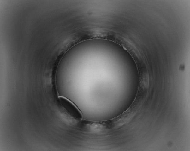 X0000101400512200807141200