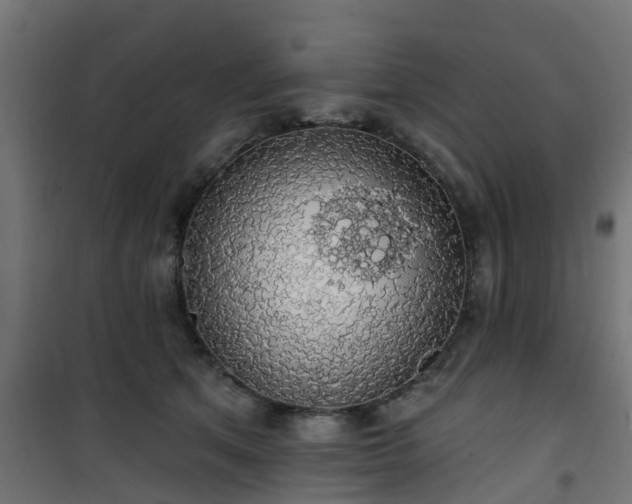 X0000101400513200807141200