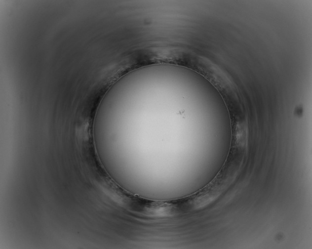 X0000101400514200807141200