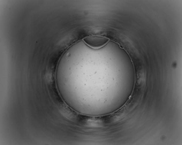 X0000101400515200807141200