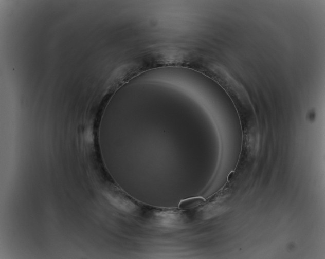 X0000101400516200807141200