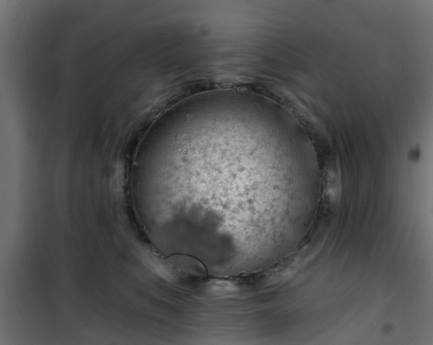 X0000101400519200807141200