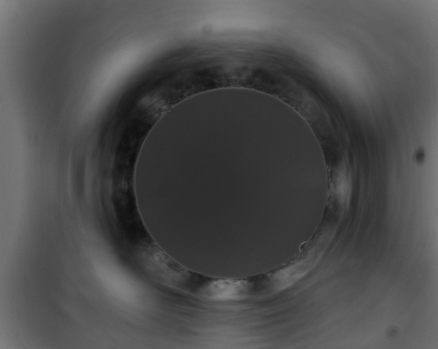 X0000101400526200807141159