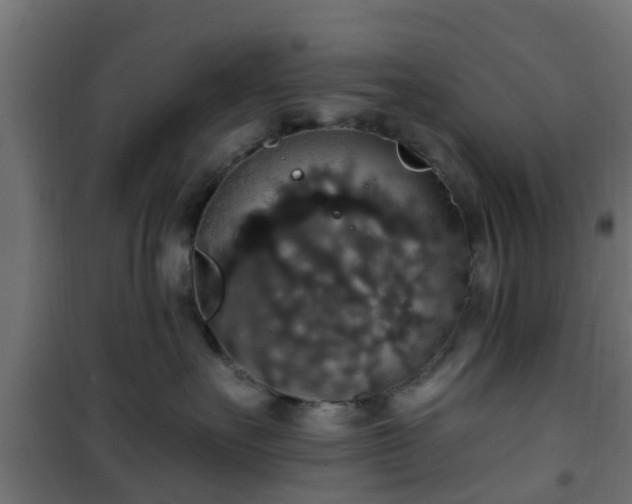 X0000101400527200807141159