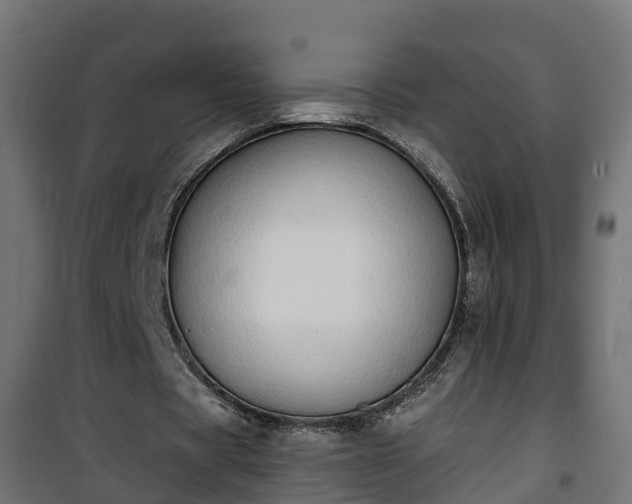 X0000101400529200807141159