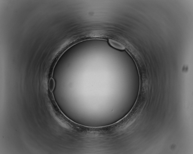 X0000101400530200807141159