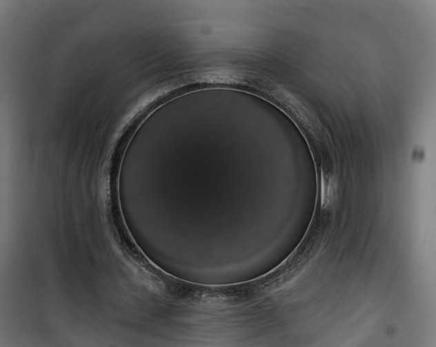 X0000101400531200807141159