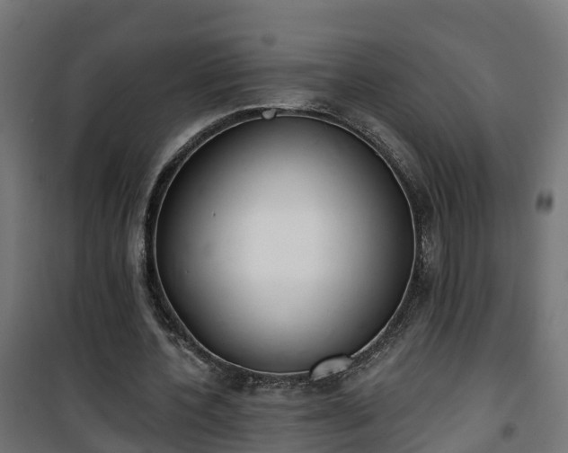 X0000101400532200807141159