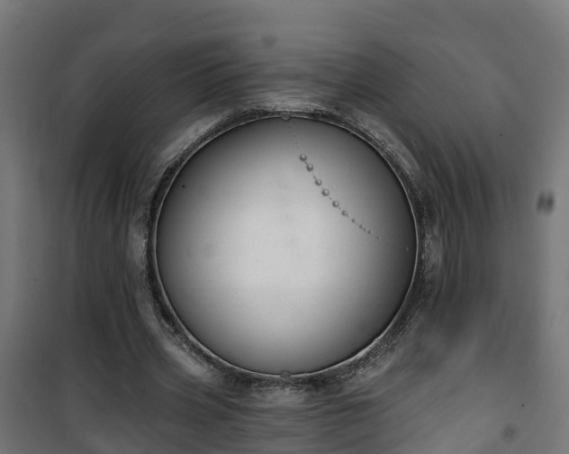 X0000101400533200807141159