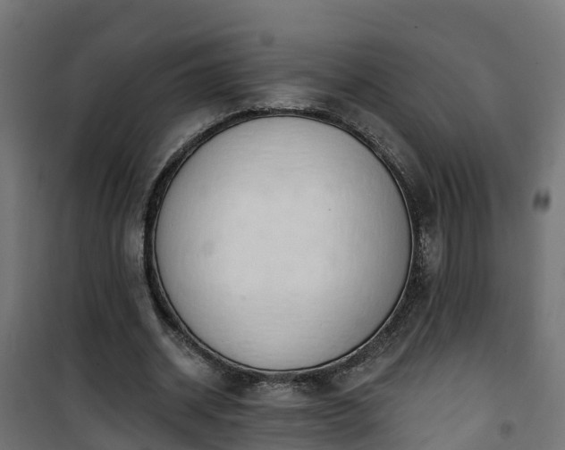 X0000101400534200807141159