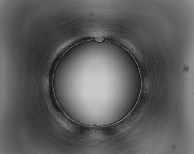 X0000101400535200807141159