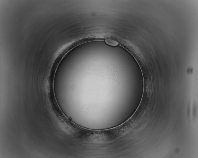 X0000101400536200807141159