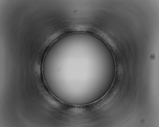 X0000101400537200807141159