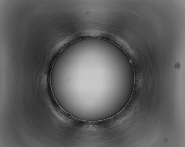 X0000101400538200807141159