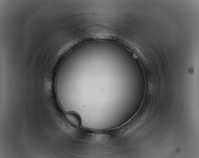 X0000101400539200807141159