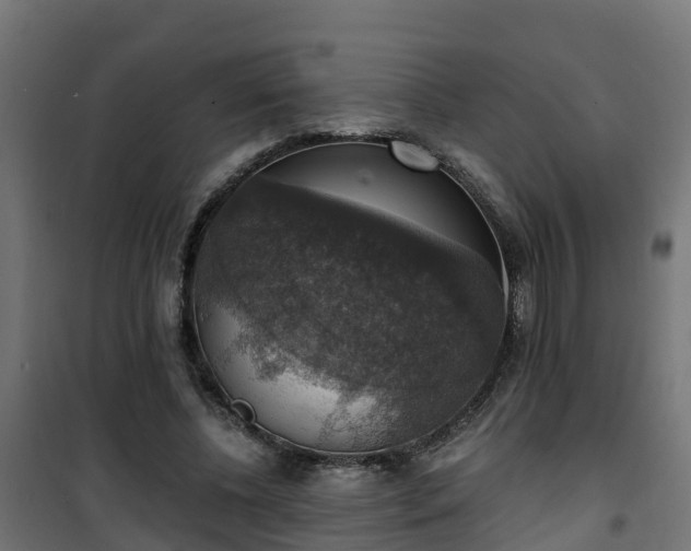 X0000101400540200807141159