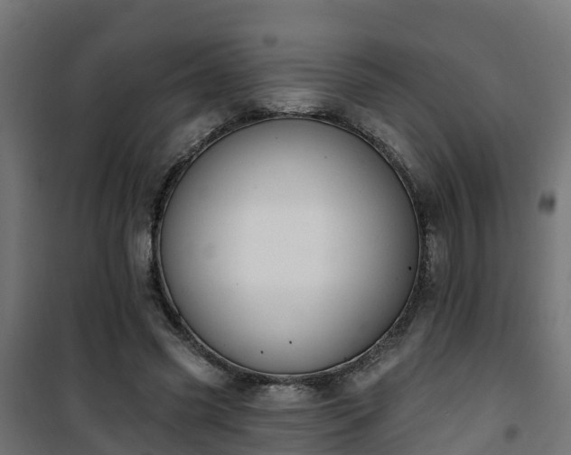 X0000101400541200807141159