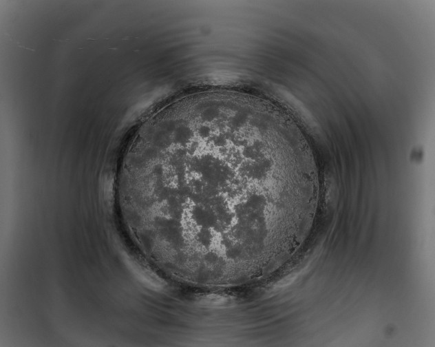 X0000101400542200807141159