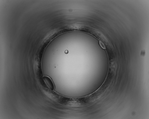 X0000101400544200807141159