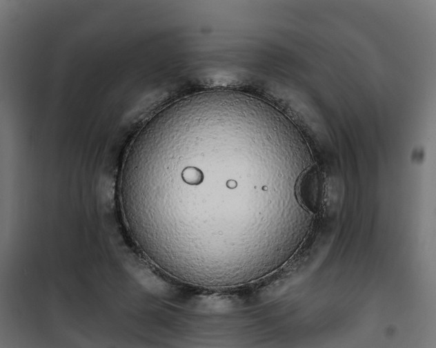 X0000101400545200807141159