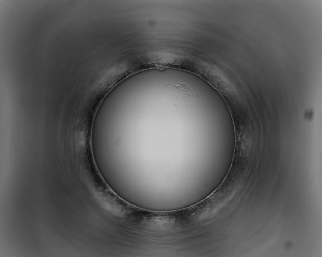 X0000101400546200807141159