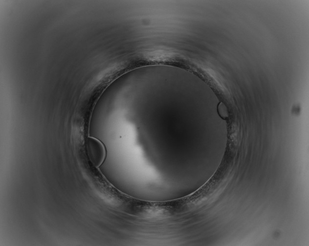 X0000101400547200807141159