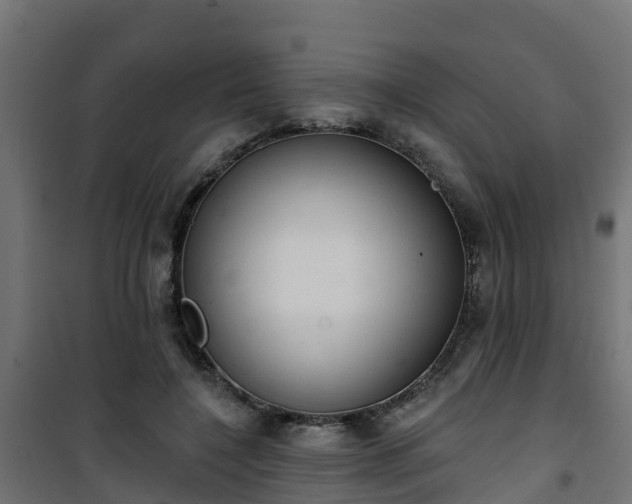 X0000101400548200807141159