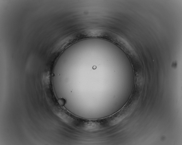 X0000101400549200807141159