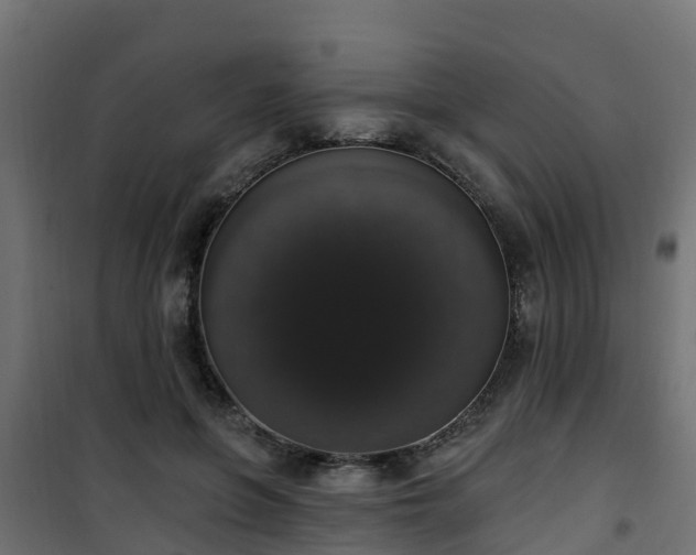 X0000101400551200807141159