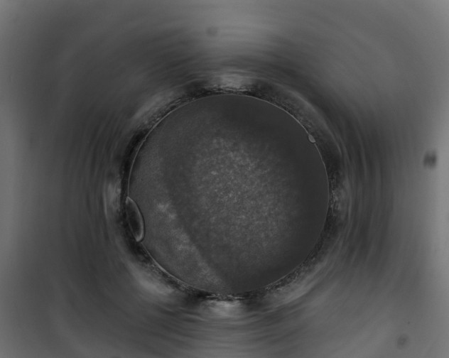 X0000101400552200807141159