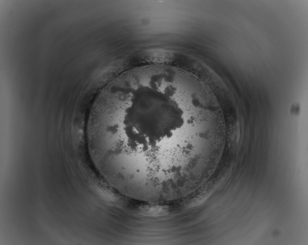 X0000101400553200807141159