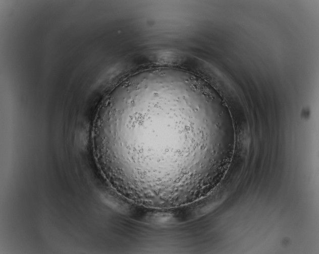 X0000101400554200807141159