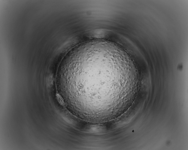 X0000101400555200807141159